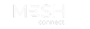 6772ae9e6e7b66e10c0fe23f_Mesh.png